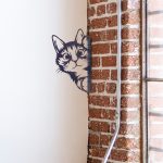 kiekeboe kat poes verticaal metaal 14x20 zwart decoratie huis tuin schutting terras balkon - kado - belgie frankrijk spanje portugal curacao engeland