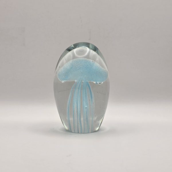 paperweight glas p2